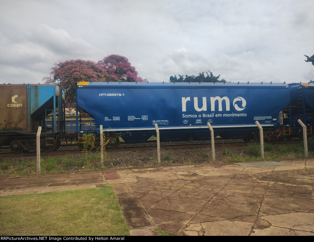 RUMO HTT-065579-1